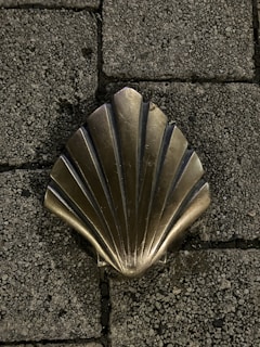 A metal scallop shell design is embedded in a paved stone walkway. The texture of the paving stones contrasts with the smooth, shiny surface of the shell.