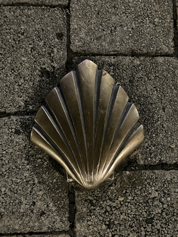 A metal scallop shell design is embedded in a paved stone walkway. The texture of the paving stones contrasts with the smooth, shiny surface of the shell.