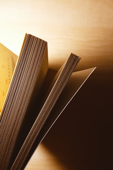 A moody, cinematic close-up of an open book with golden light casting shadows on textured pages.