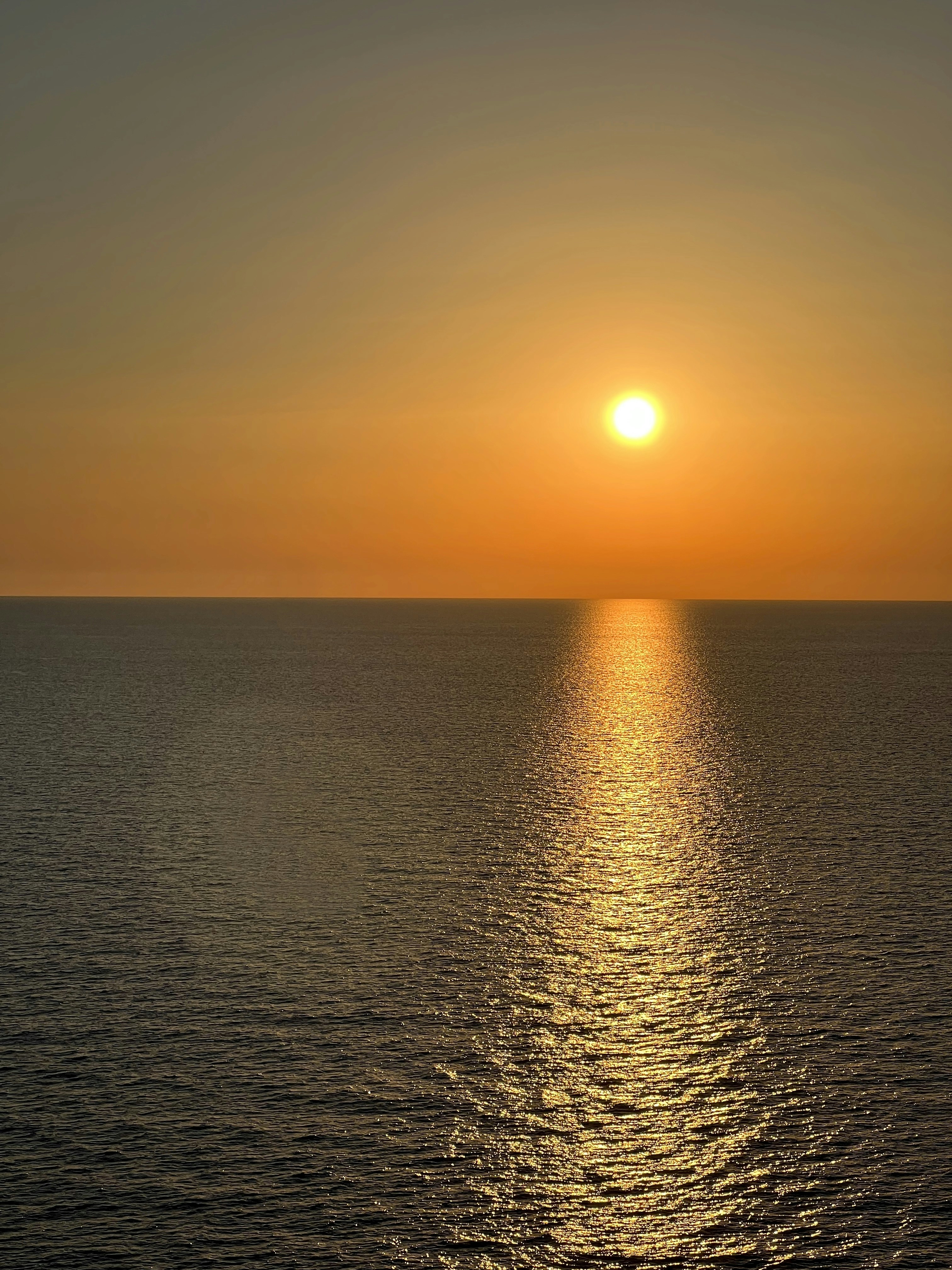 Photo by hadyncutler