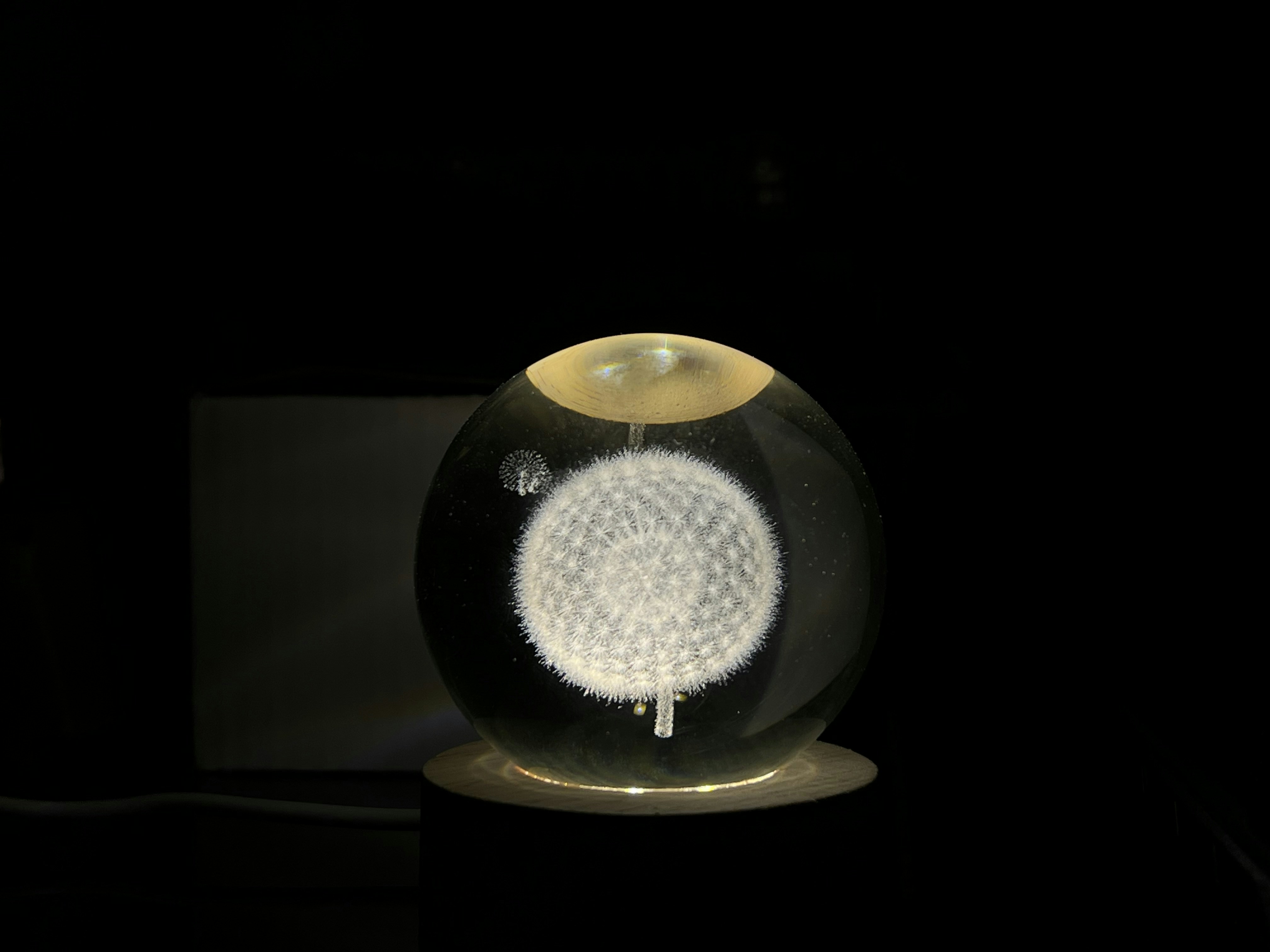 a glass ball with a white flower inside of it