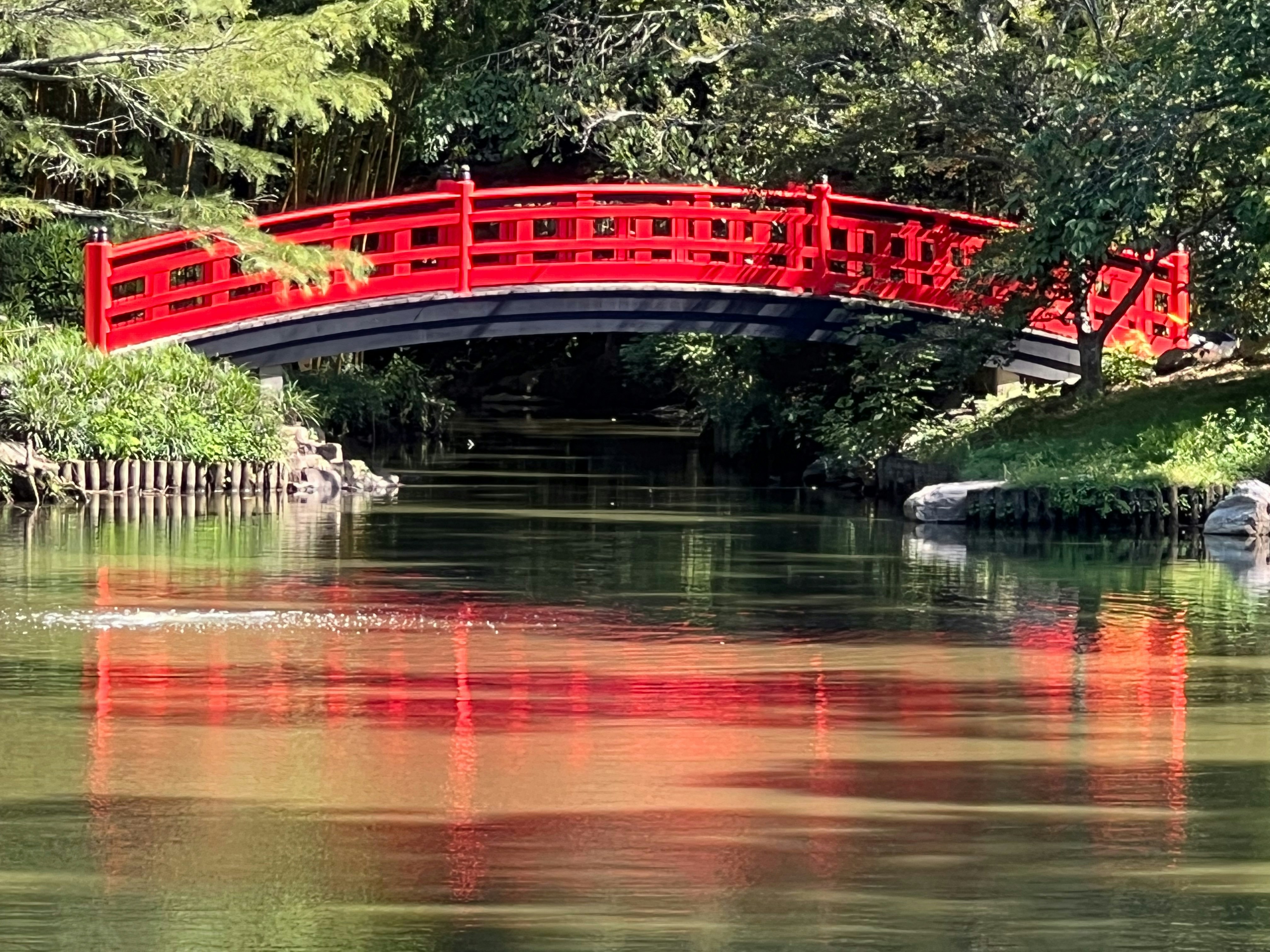 Photo by agilesyndrome