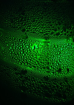 A close-up view of condensation on a surface, with numerous droplets creating a textured pattern. The image is illuminated with a neon green light, casting an almost ethereal glow across the droplets.