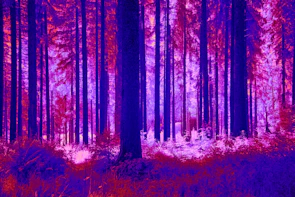 Softly painted forest scene with ethereal creatures peeking through the trees.
