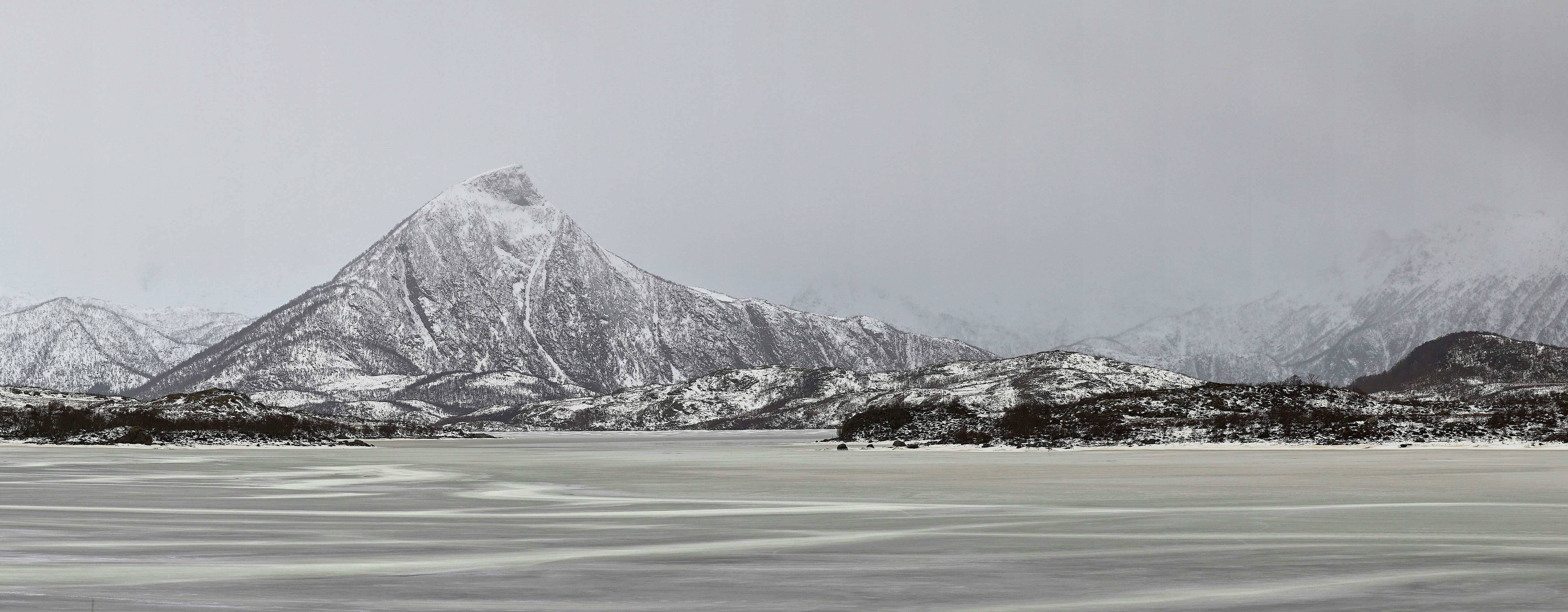 Photo by wolfgang_hasselmann