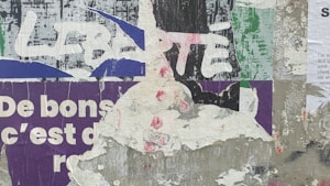 French Vocabulary Pack