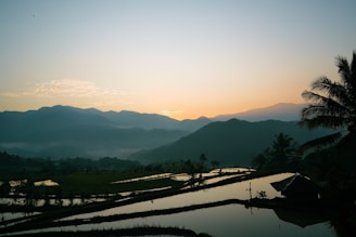 A serene view of Jatiluwih rice terraces under soft morning light, highlighting lush green fields and traditional Balinese huts.