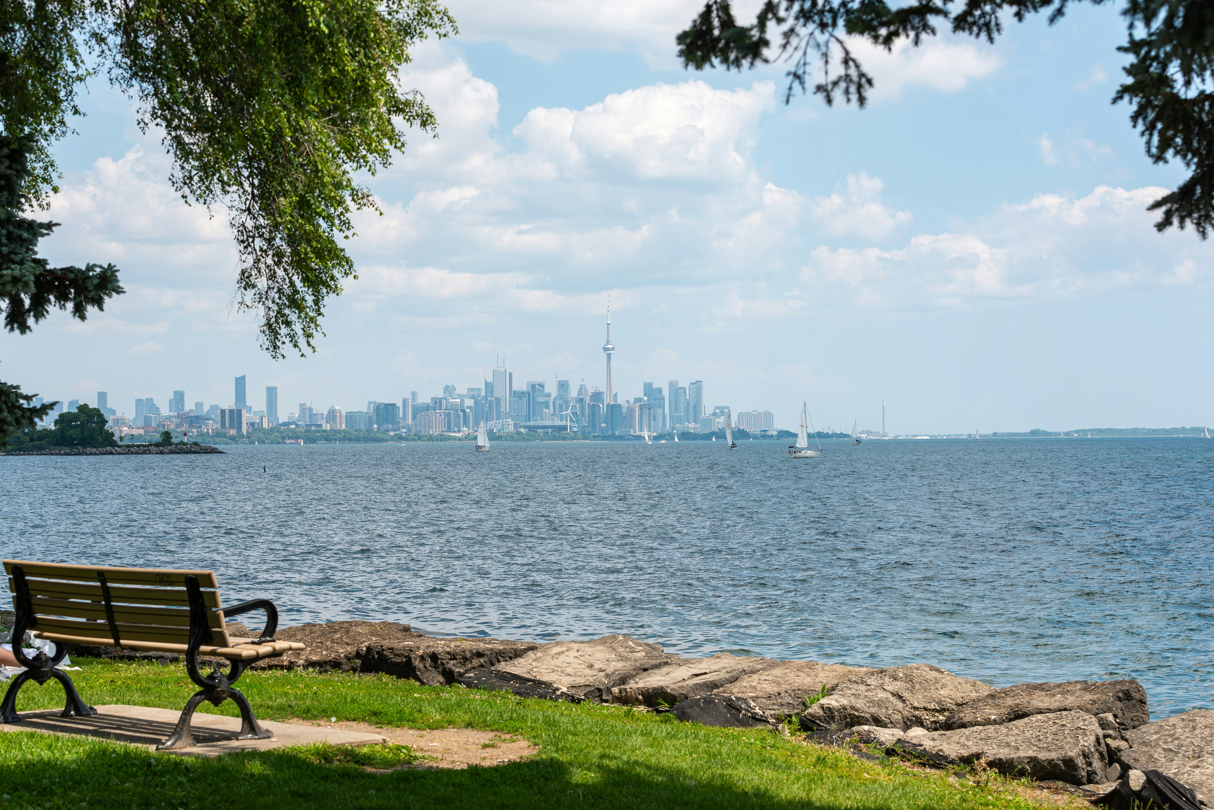 صورة المعرض