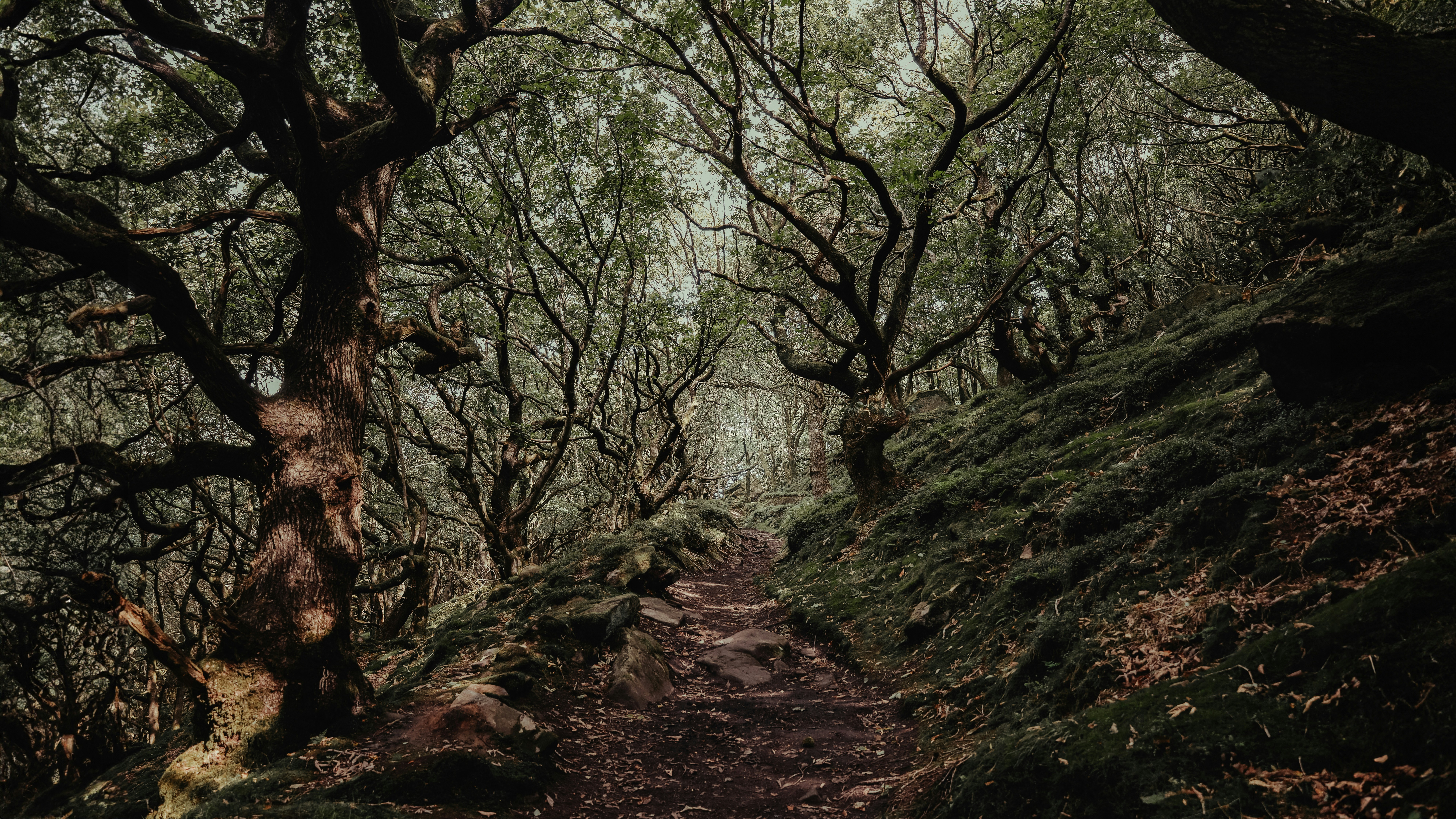 Photo by secondsight