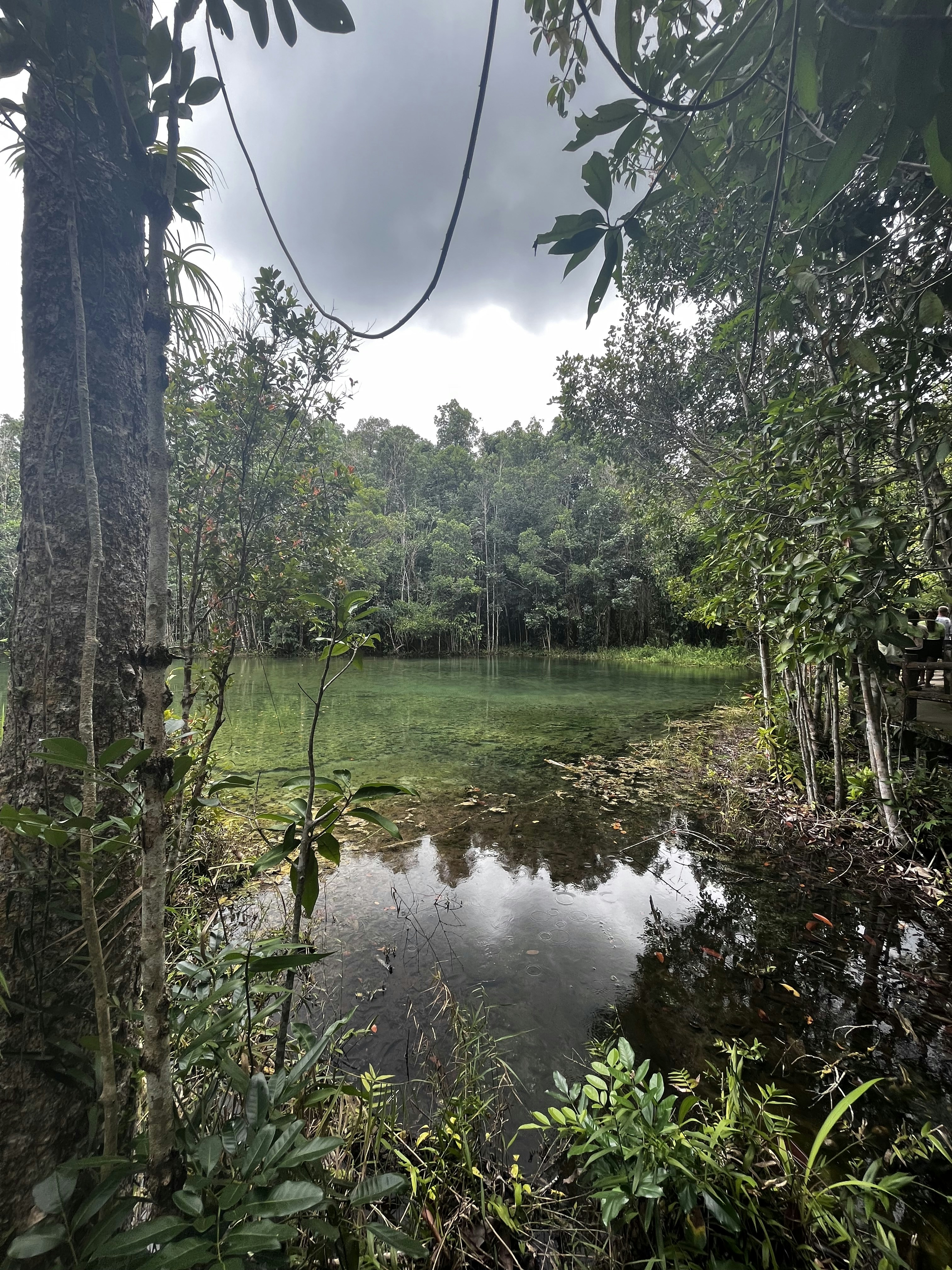 Photo by vidisha_negi