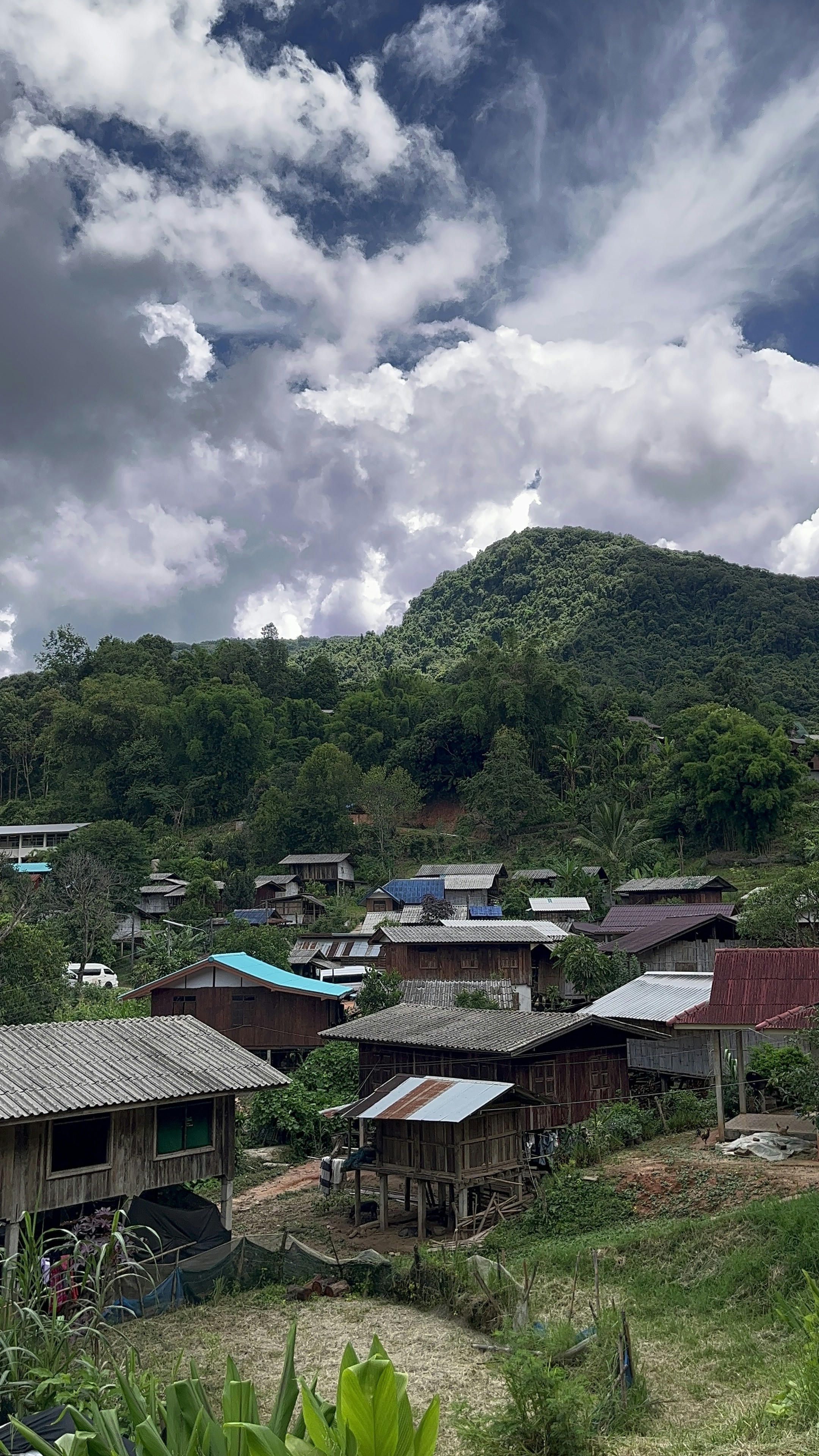 Photo by vidisha_negi