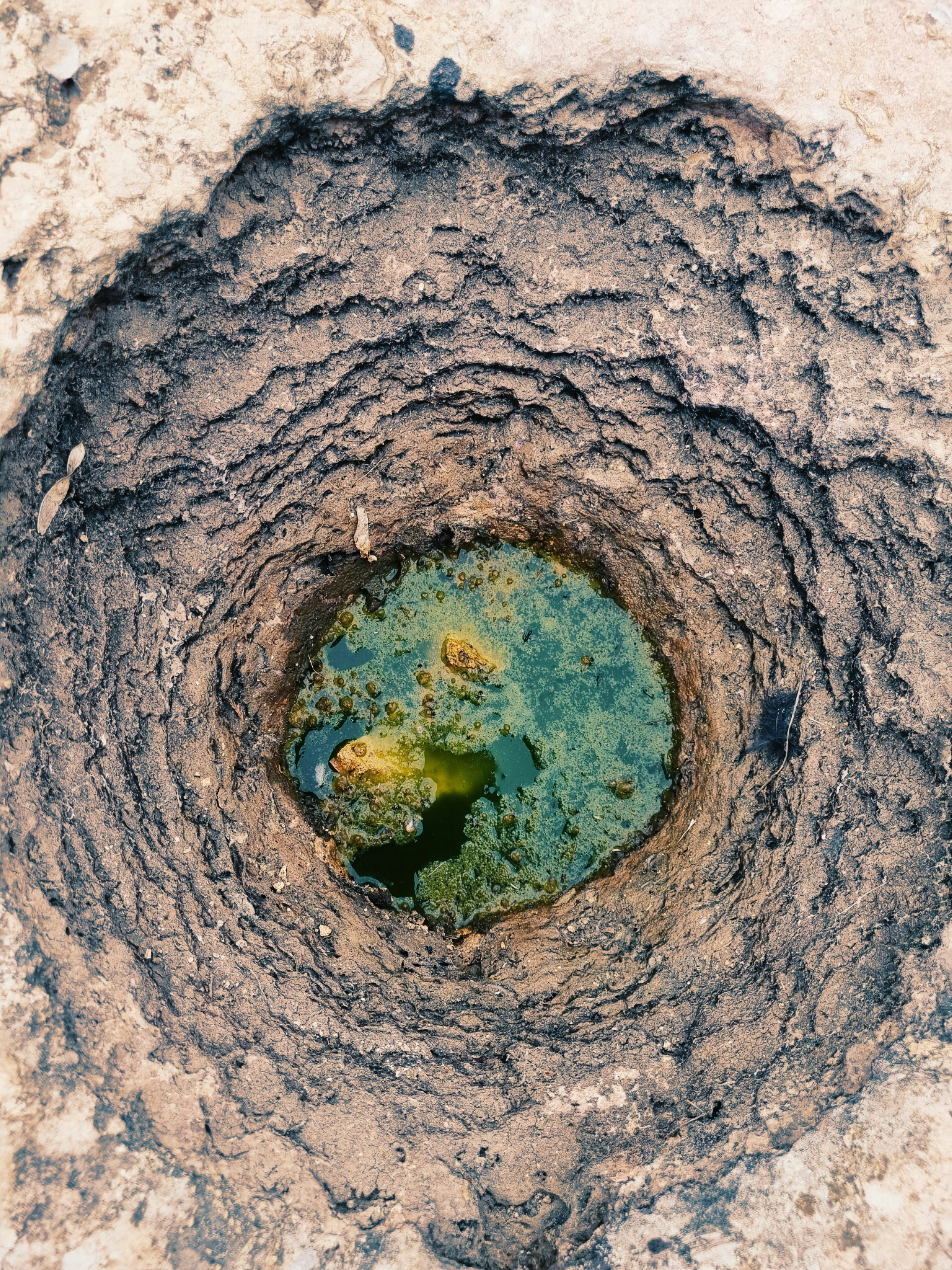 Photo by plasticlines