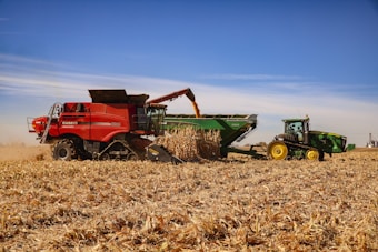 A large red harvester is unloading corn into a green trailer attached to a green tractor in the middle of a cornfield during the day. The sky is clear with a few wispy clouds and the field is filled with dried corn stalks.