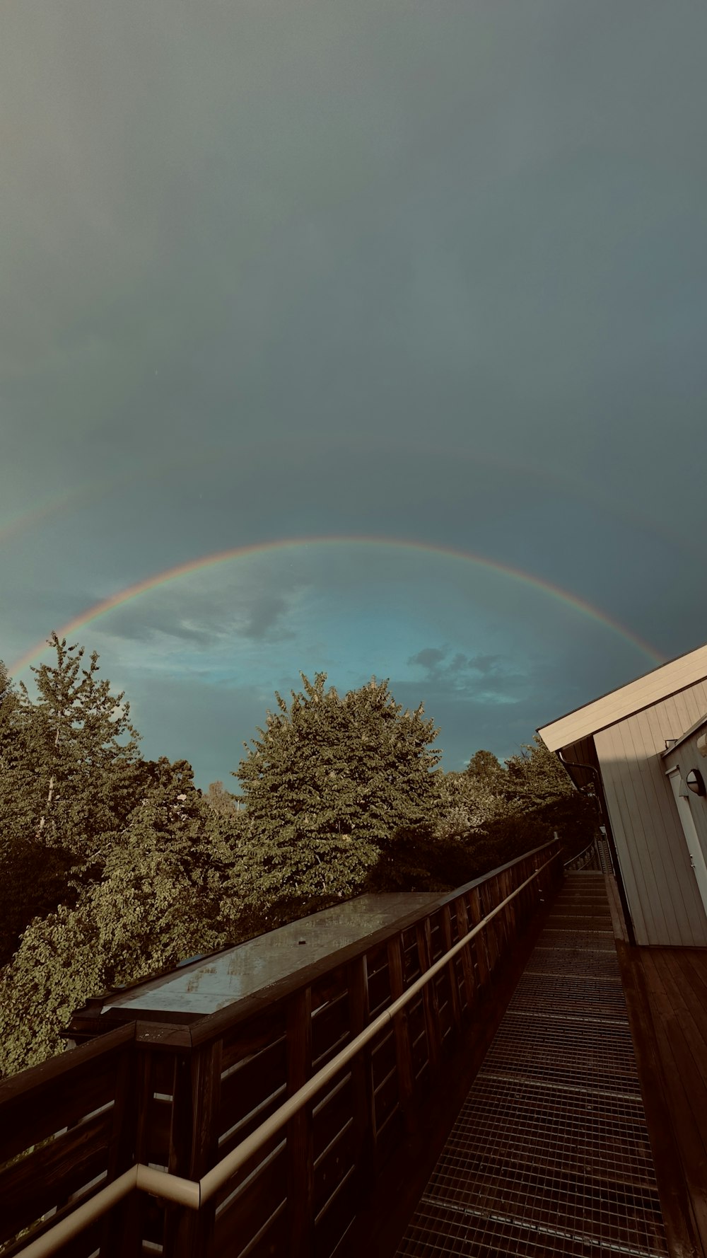 a rainbow in the sky over some trees