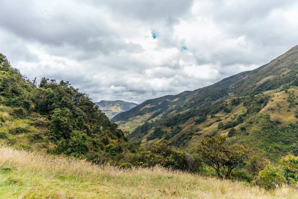 a view of a valley in the mountains