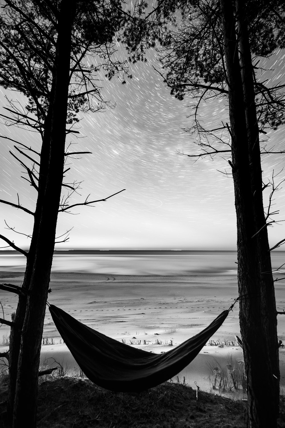 a hammock hanging between two trees on a beach