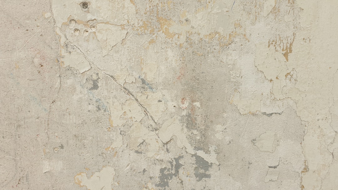 7 Factors to Consider When Choosing a Basement Waterproofing Company