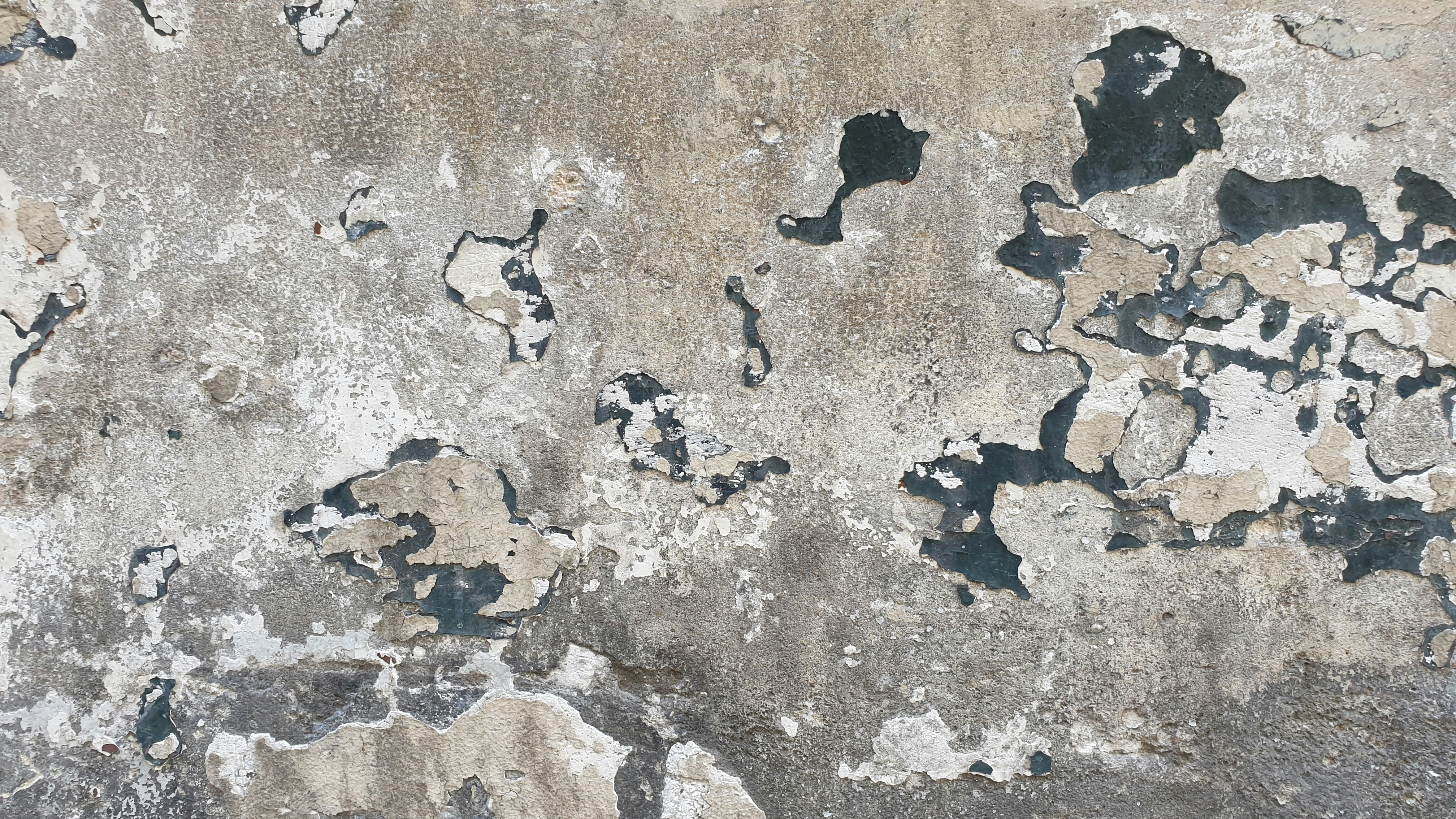 Carving Out the Great Lakes (image credits: unsplash)