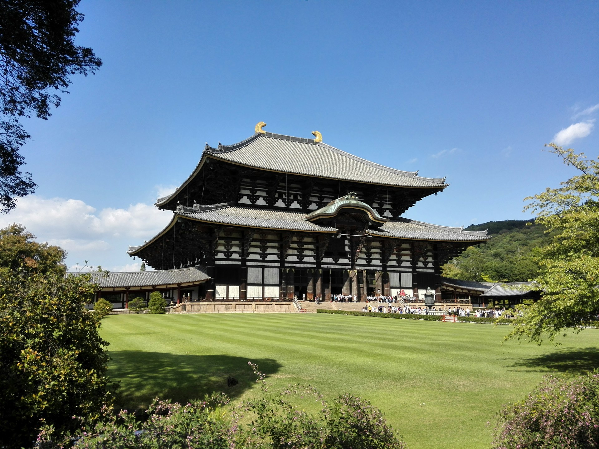 Bright and welcoming exterior view of Anand Gurukul hostel with clear skies and lush greenery.
