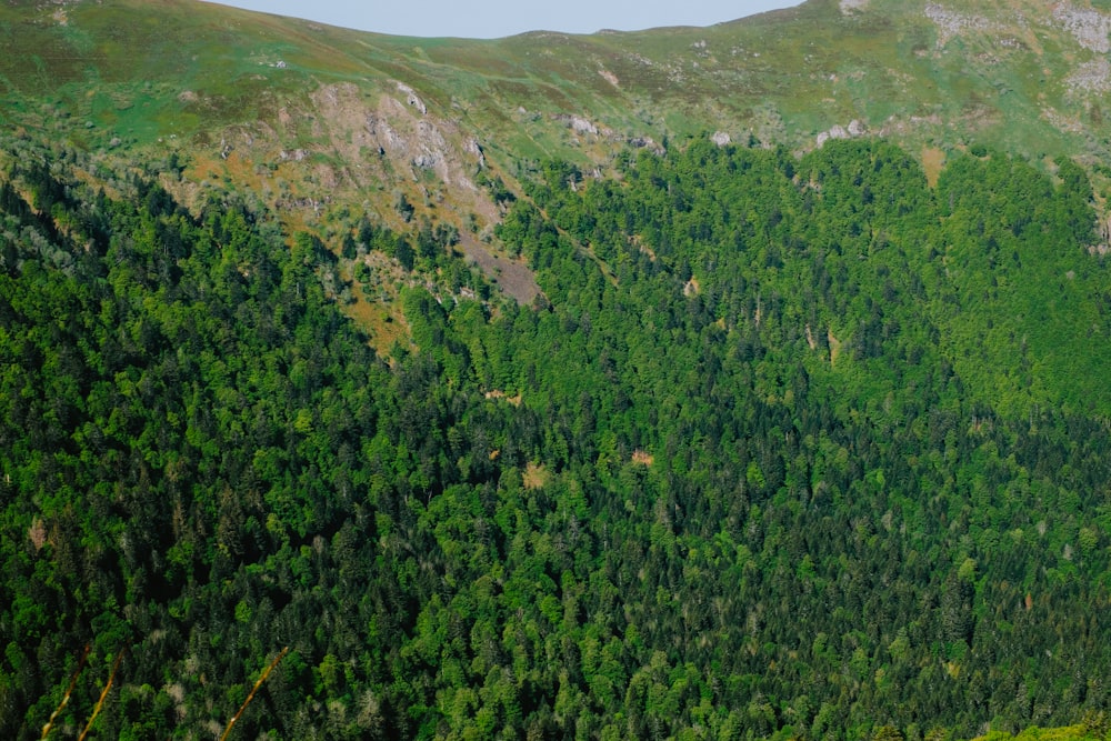 a view of a mountain range from a plane