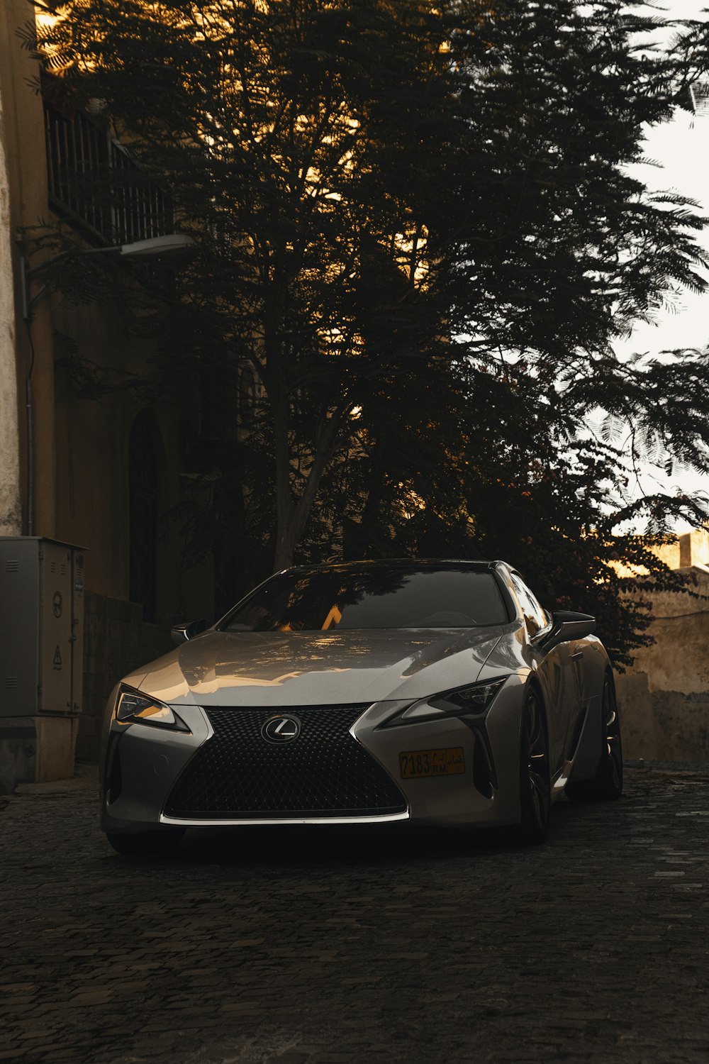 a silver sports car parked in front of a tree