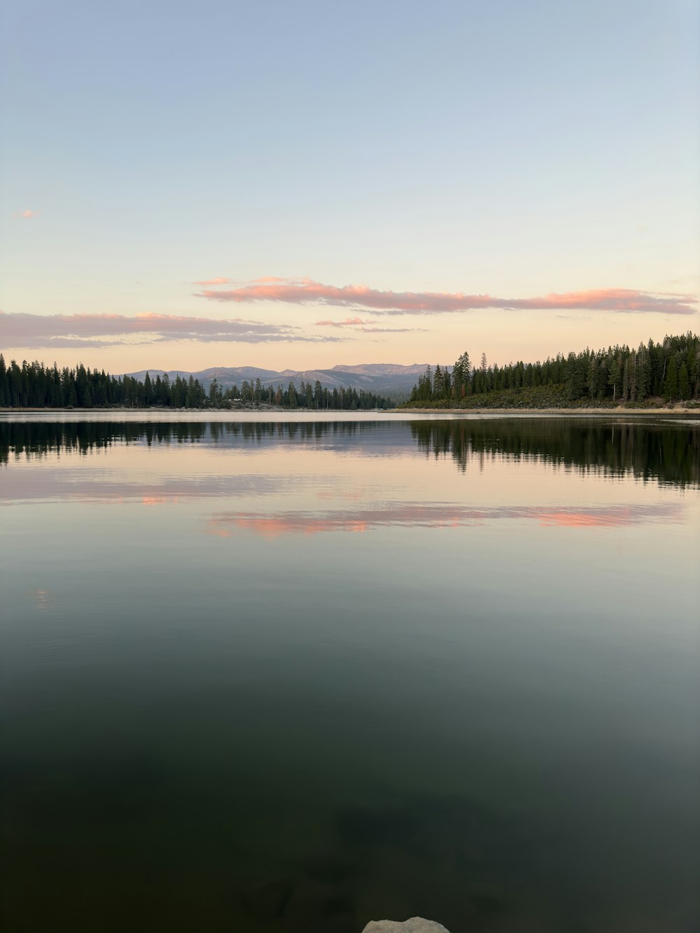 Uno specchio d'acqua con alberi sullo sfondo