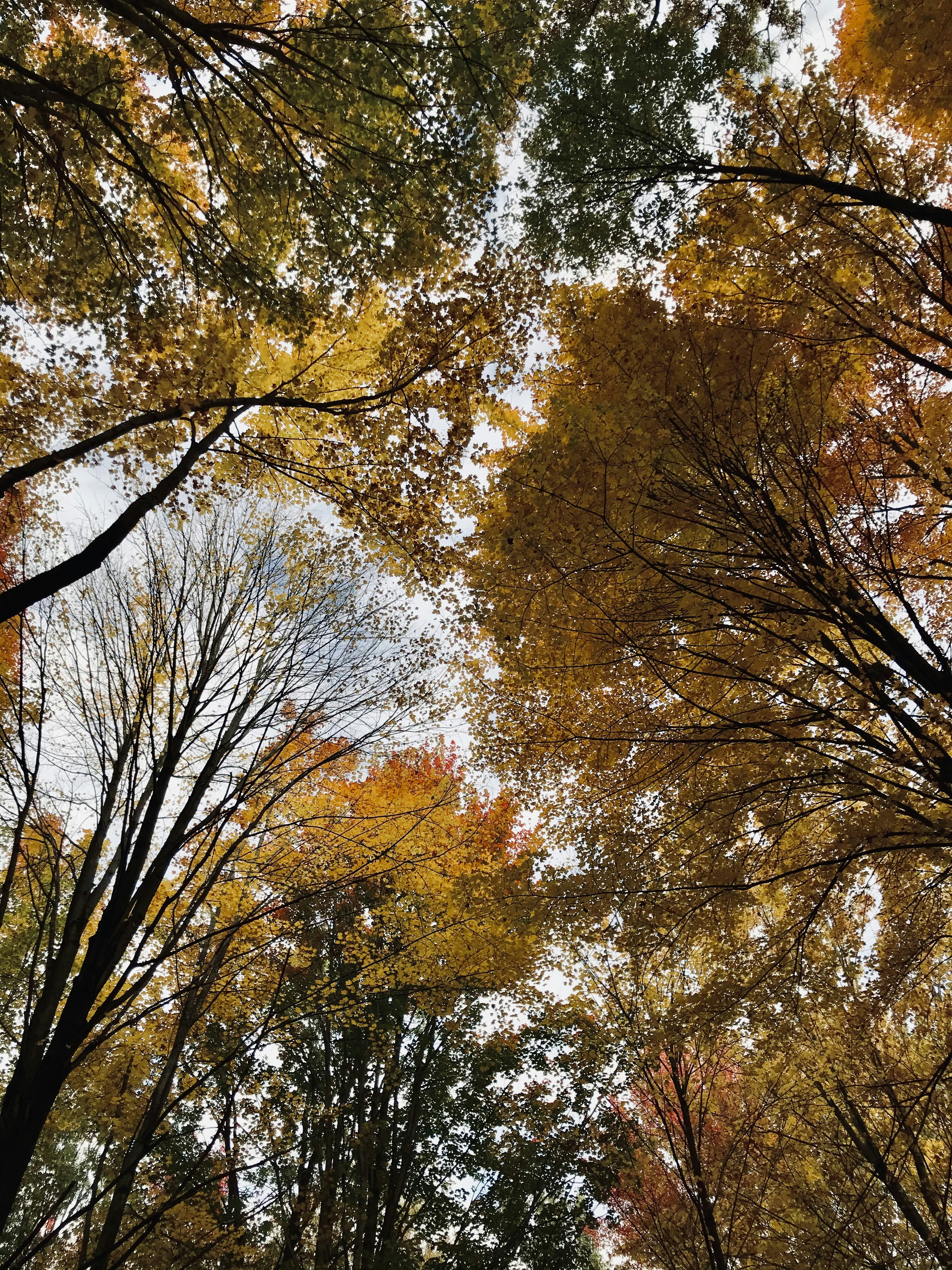 Photo by elizagrace2