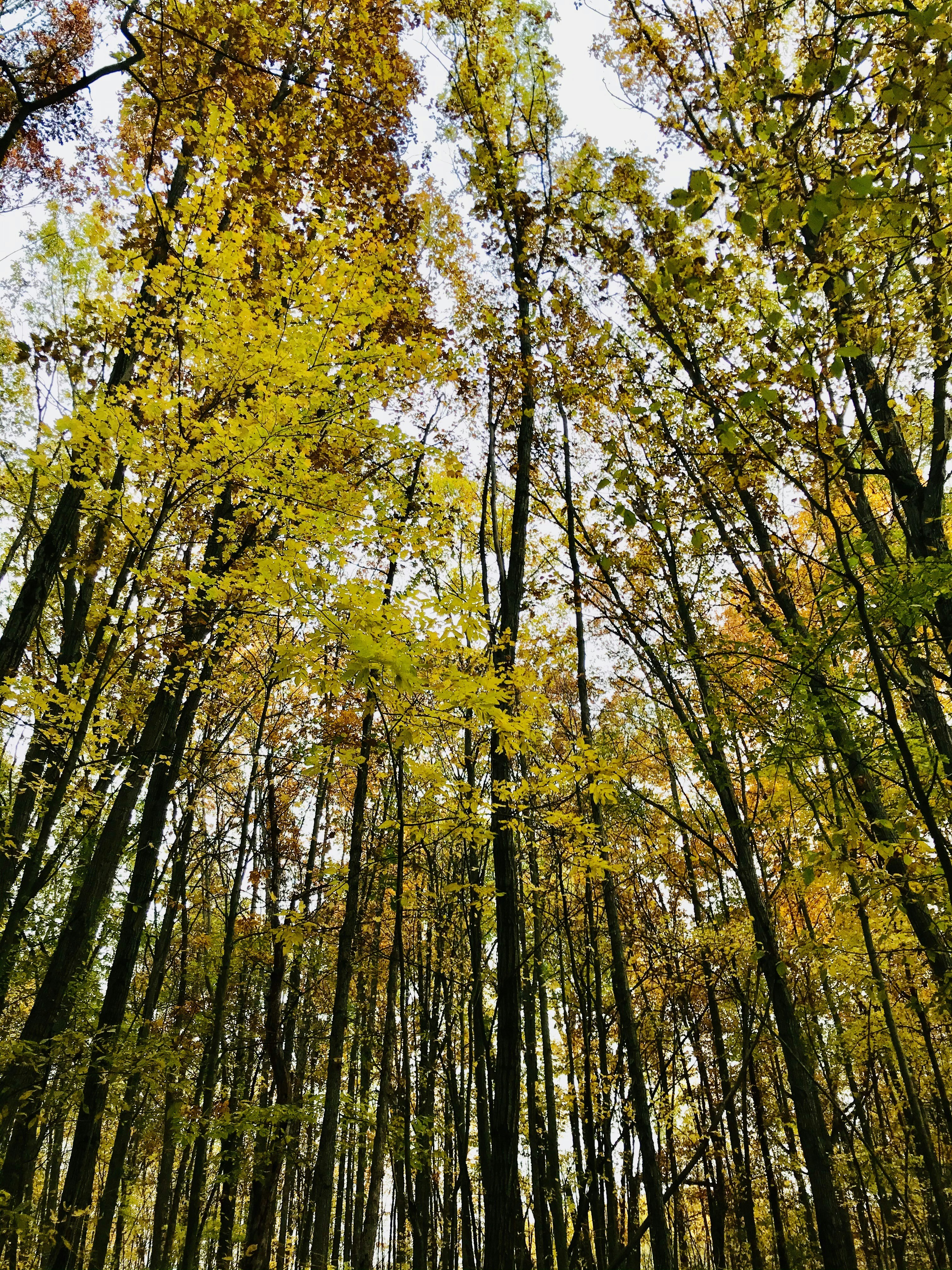 Photo by elizagrace2