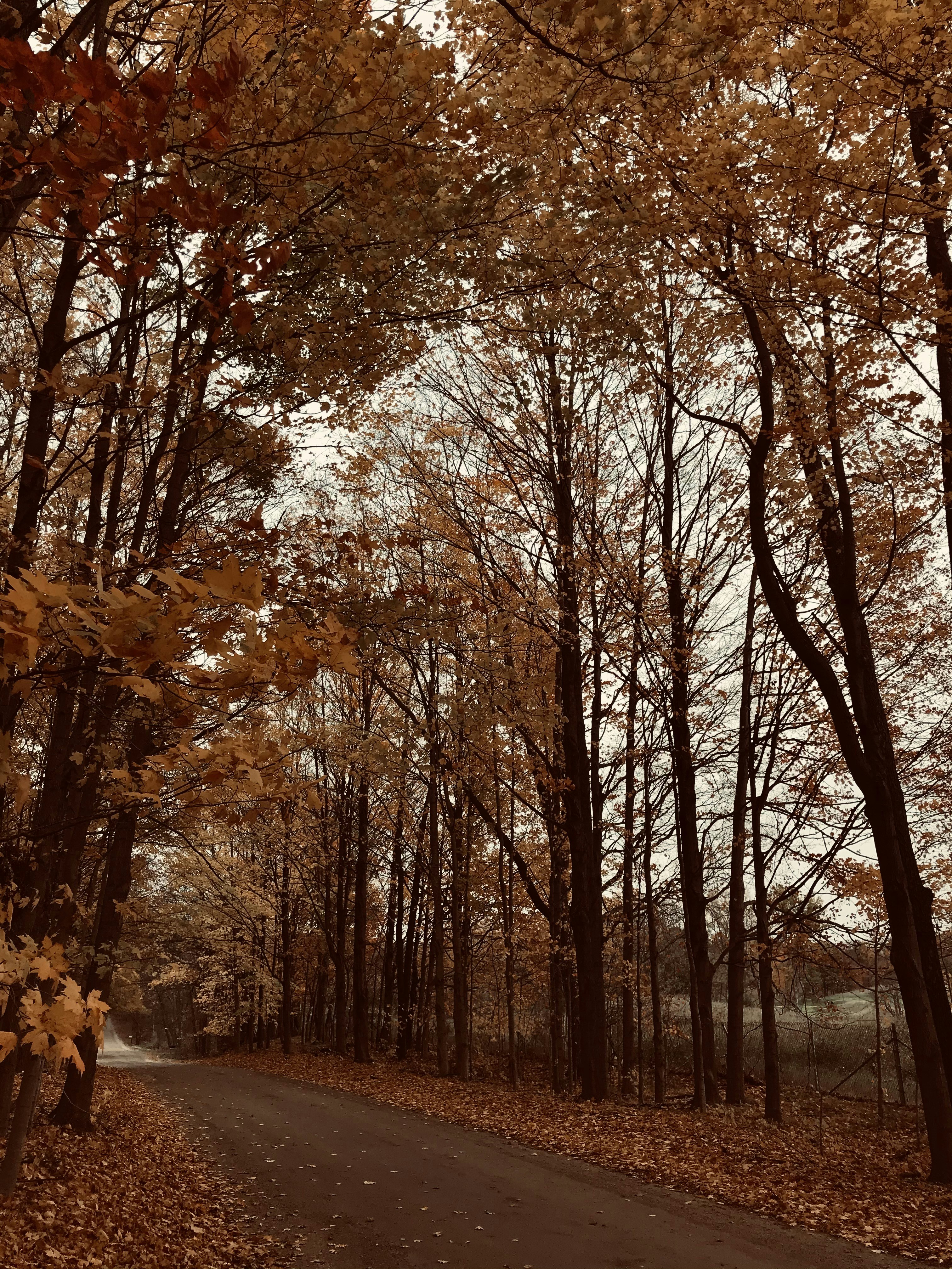 Photo by elizagrace2