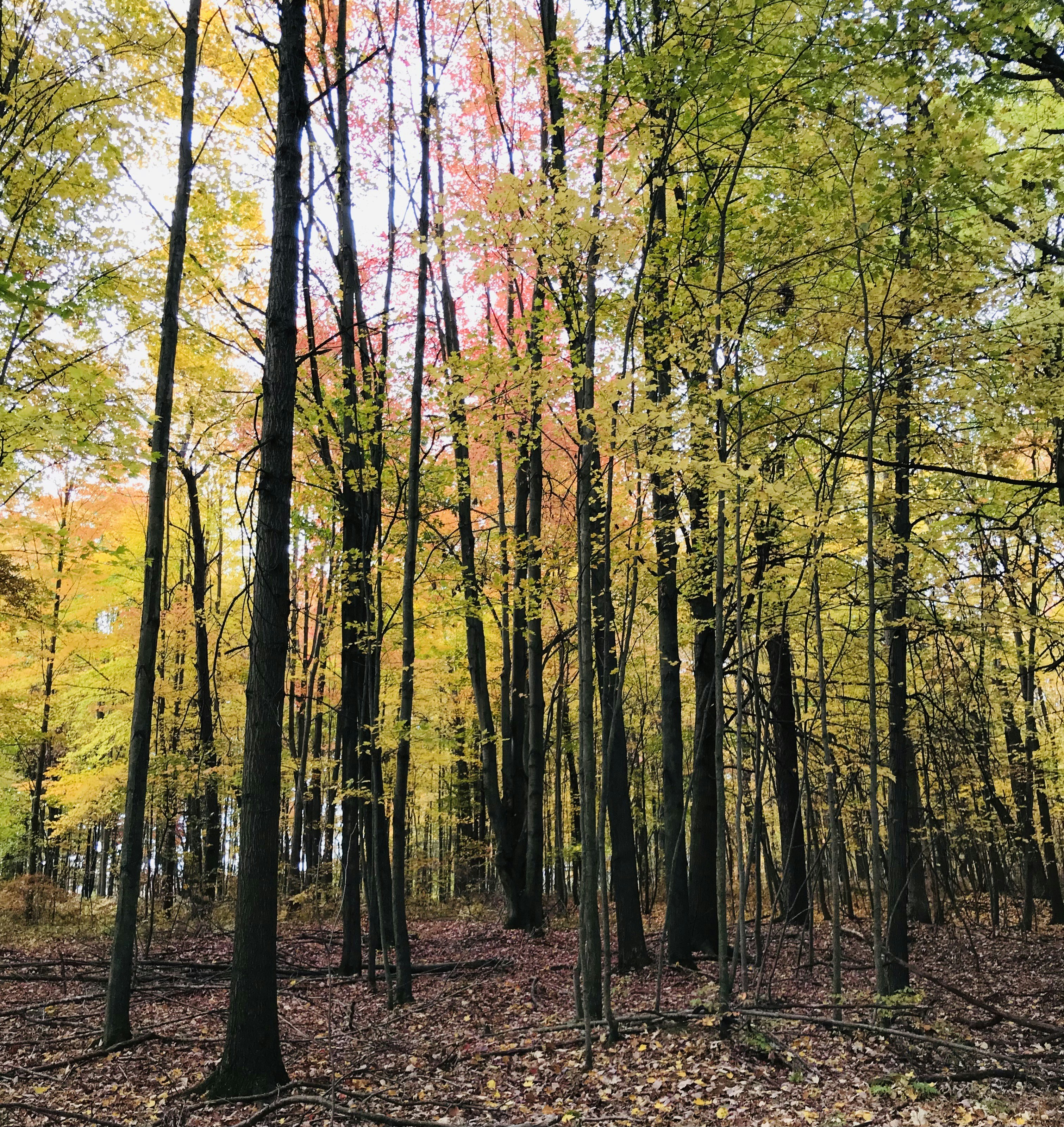 Photo by elizagrace2