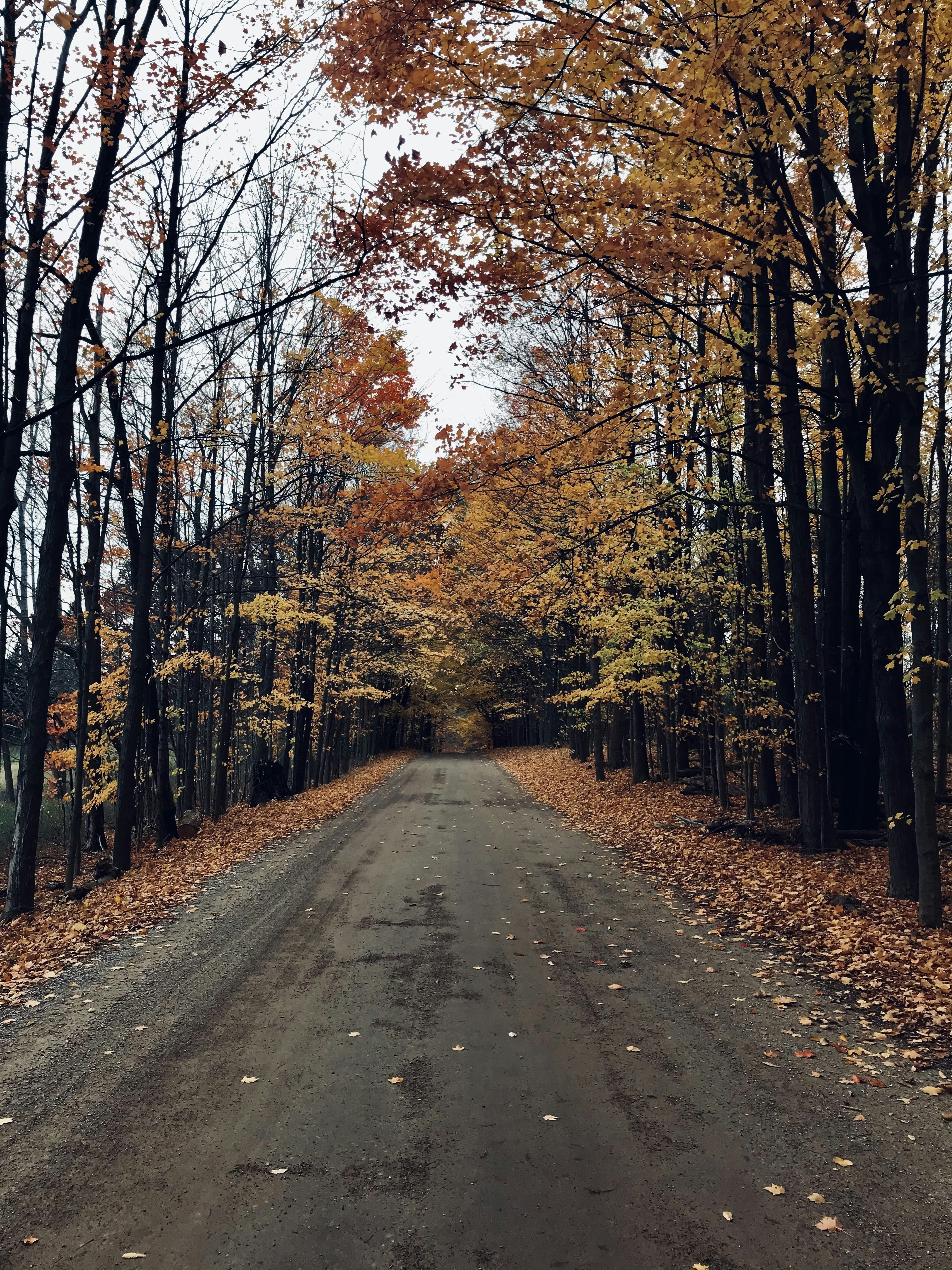 Photo by elizagrace2