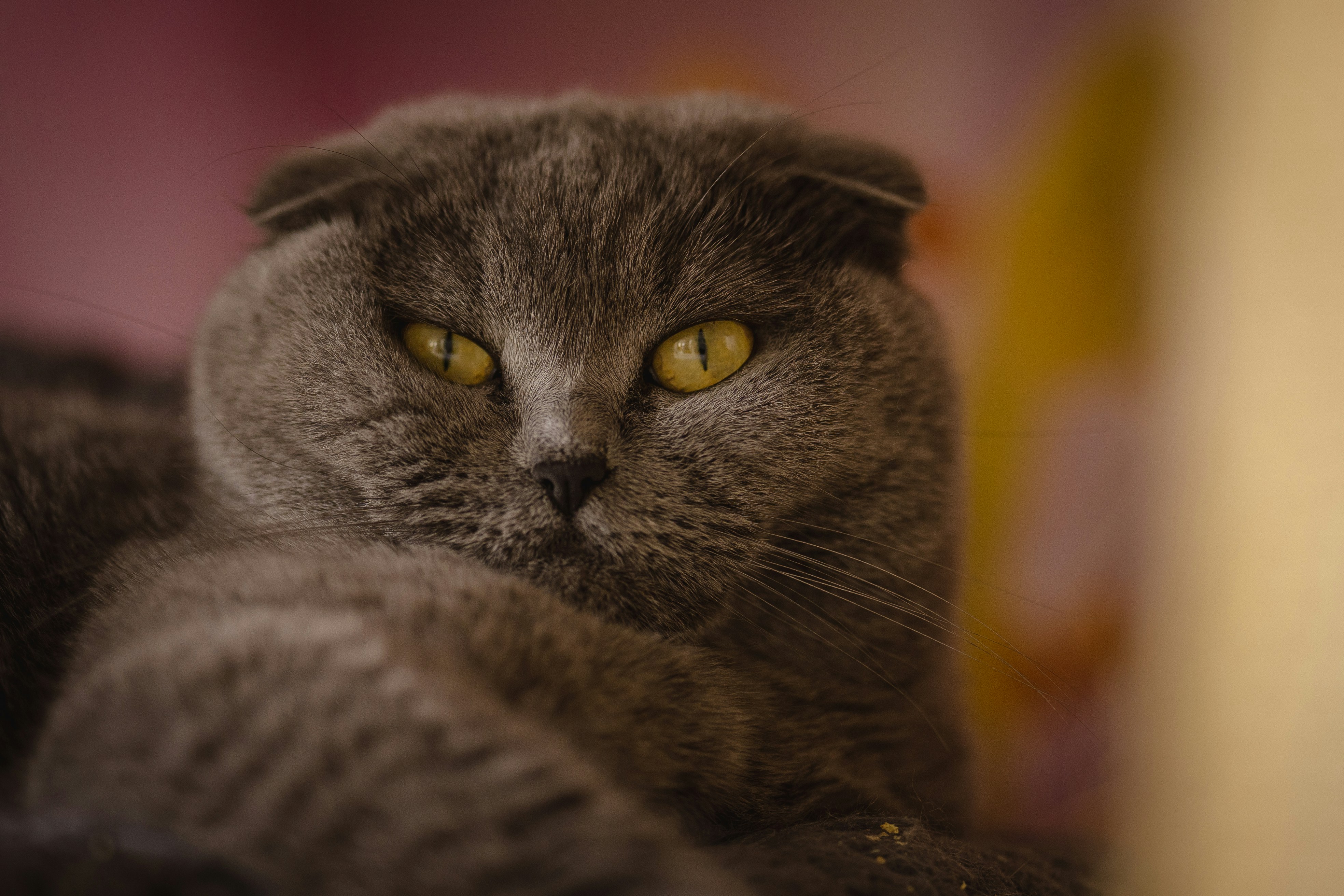 Photo by omarvellous14