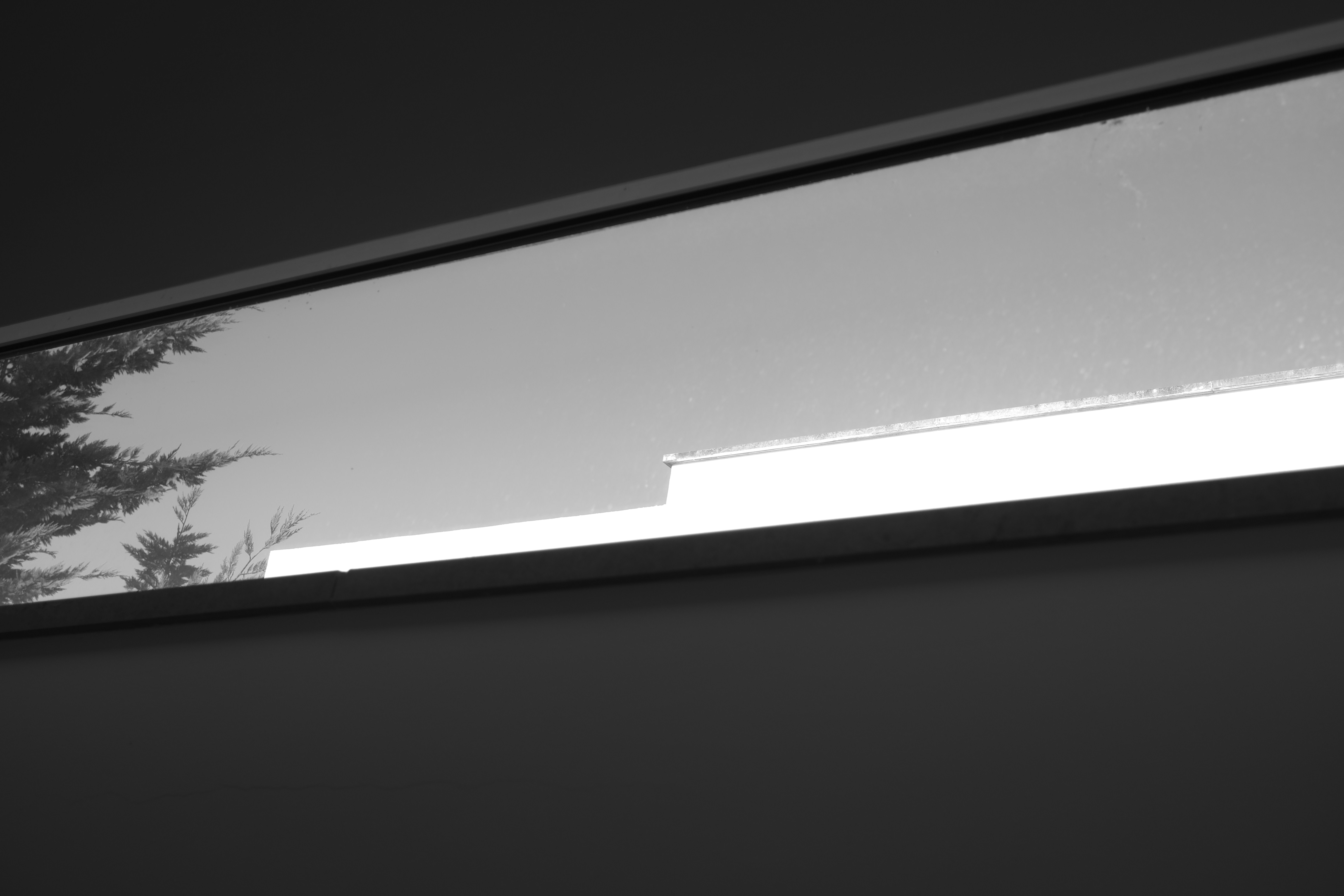 iPhone 17: What to Expect from Apple's Next-Gen Flagship