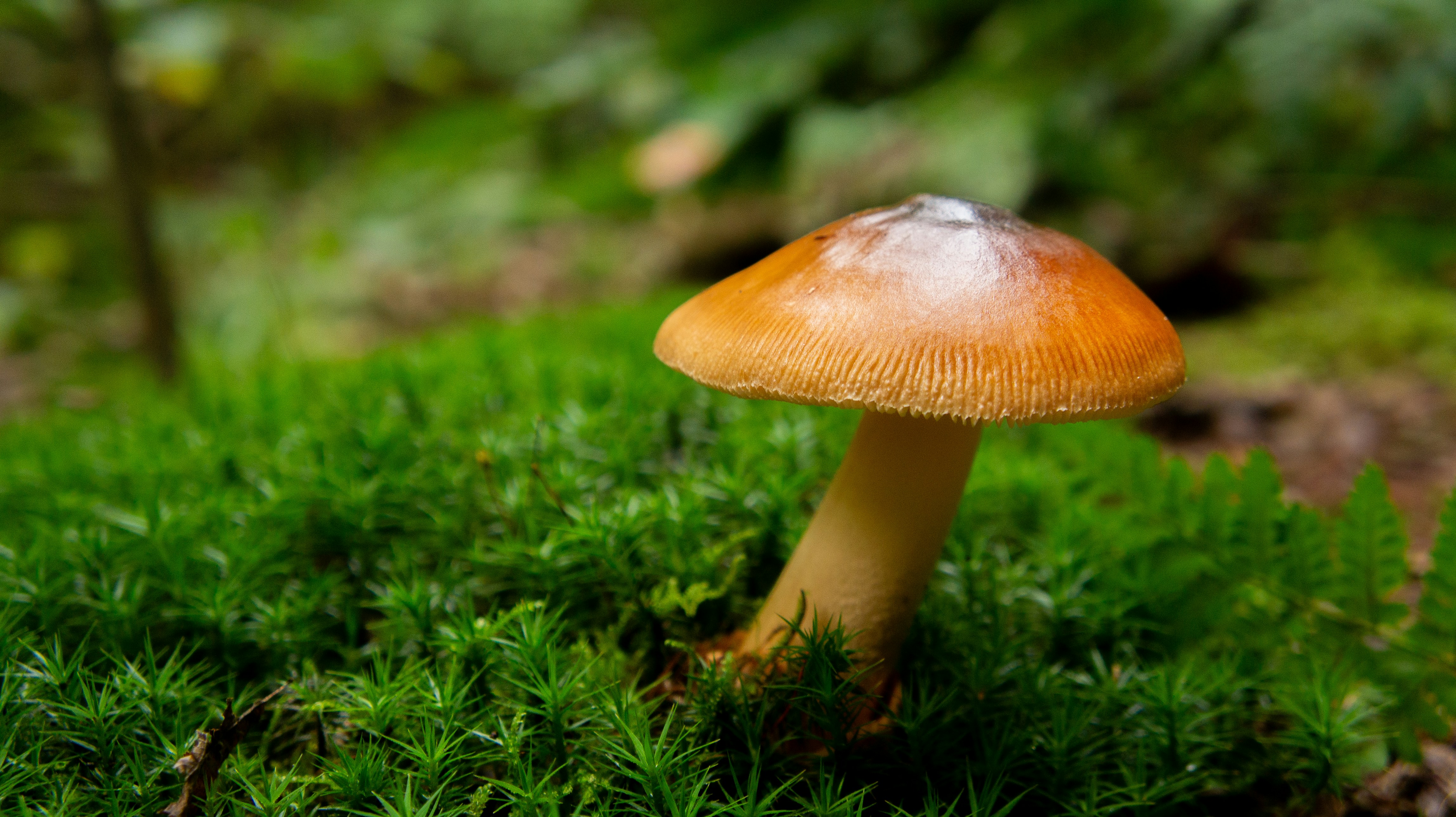 Photo by splintermark77