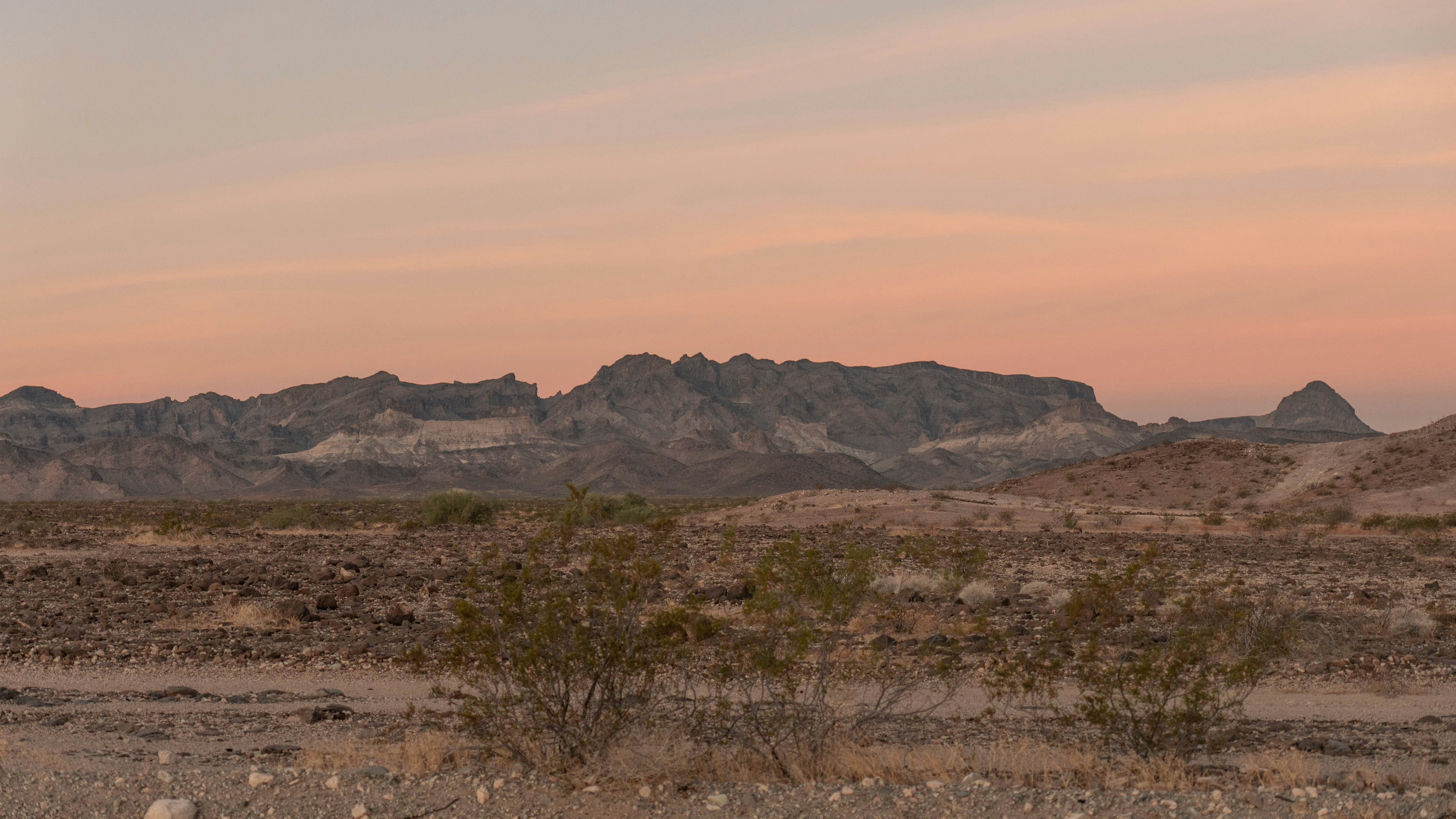 Photo by taylorzannis