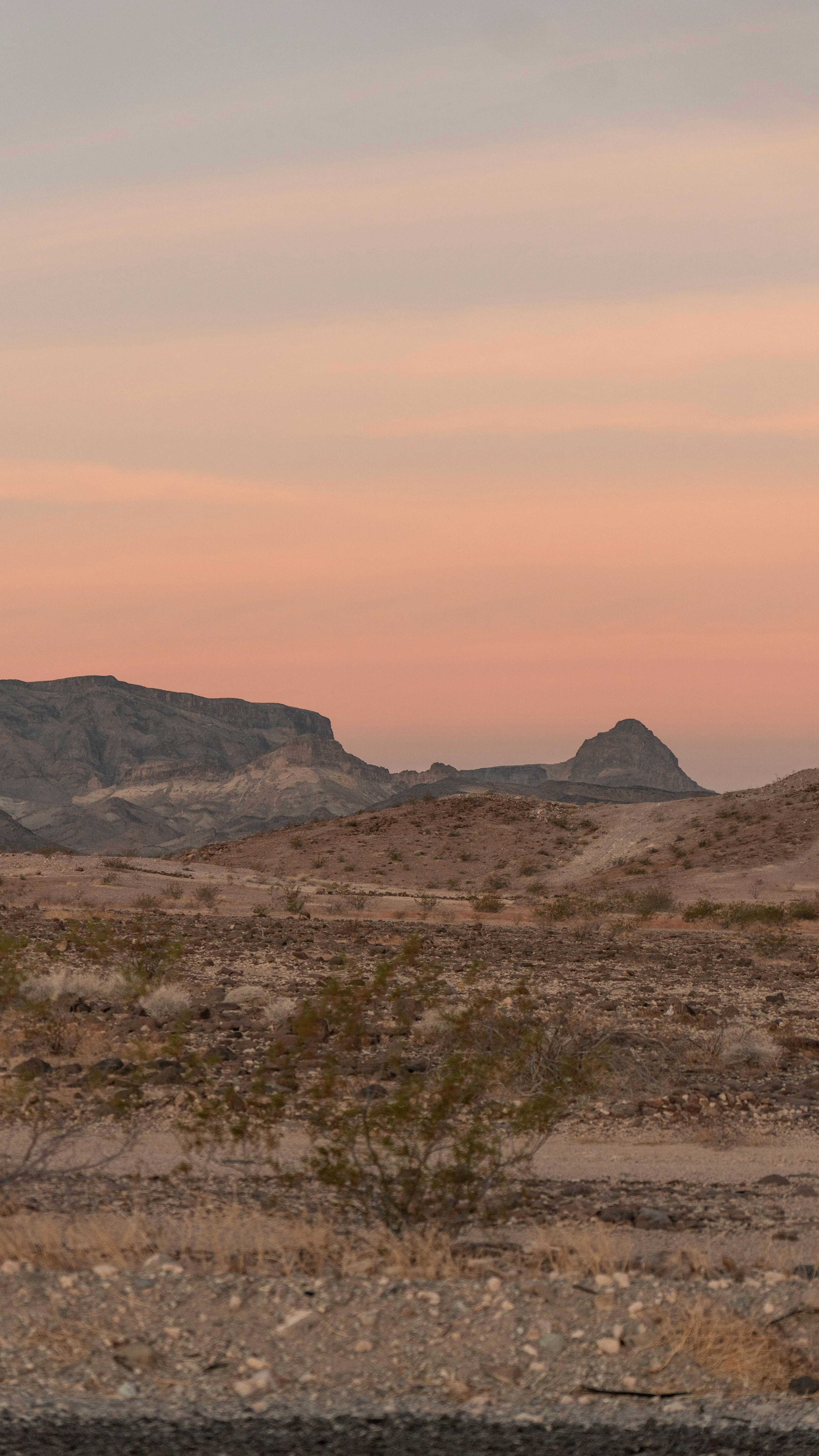 Photo by taylorzannis