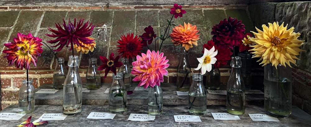 ein Tisch mit vielen Vasen, die mit Blumen gefüllt sind