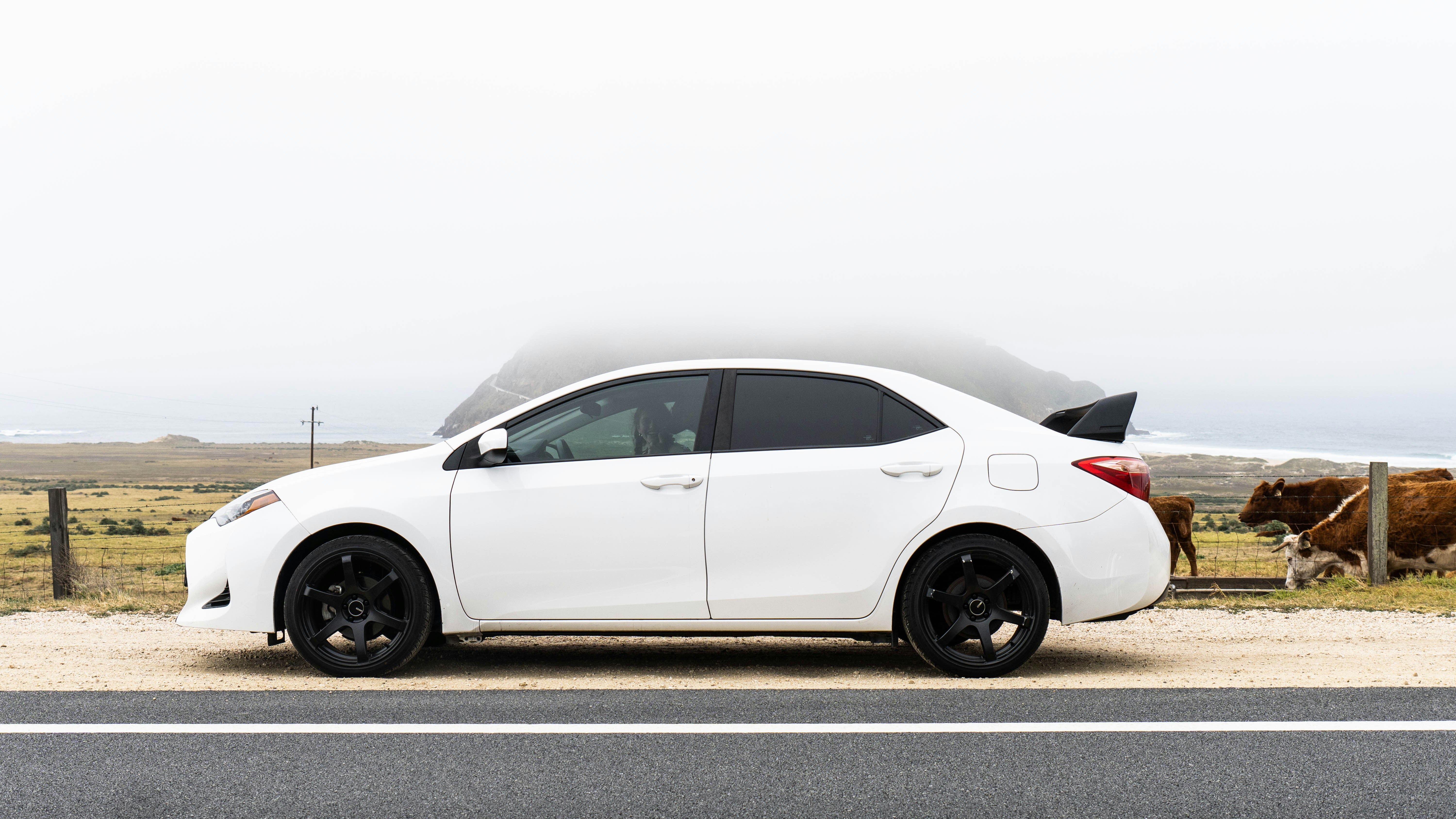 Photo by taylorzannis