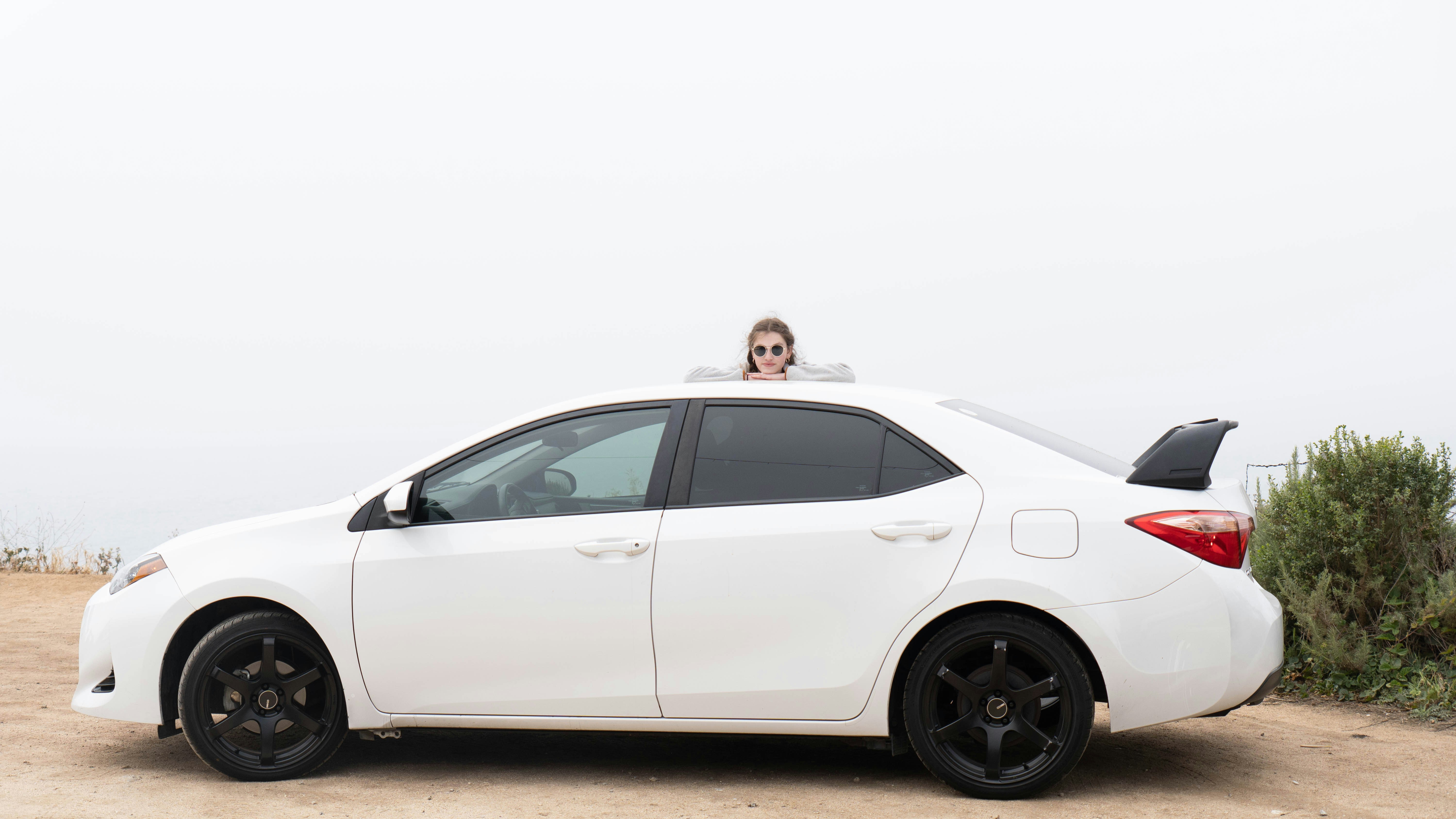 Photo by taylorzannis