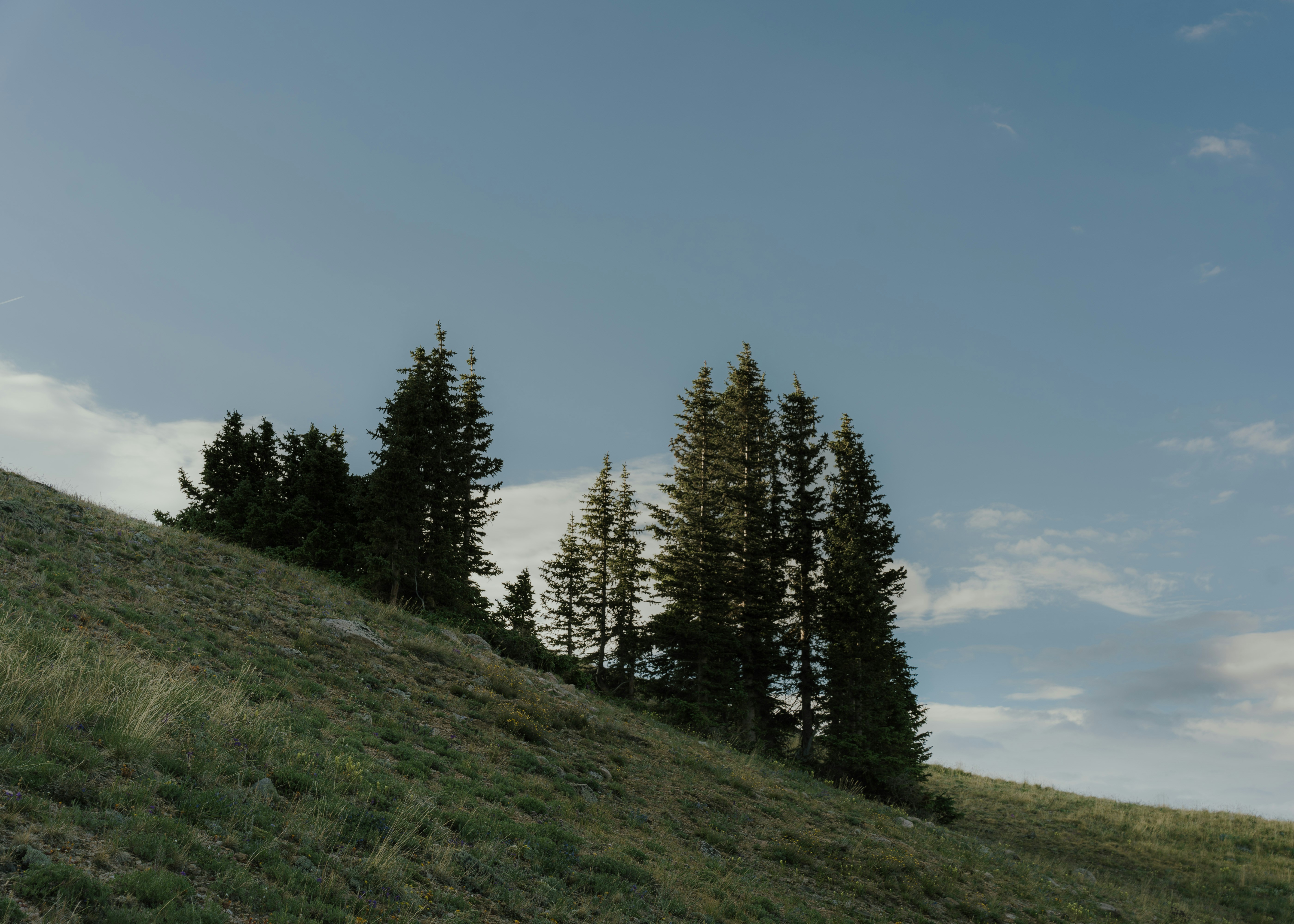 Photo by nomadicfitlust