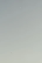 Elegant gold-accented crescent moon icon on a deep emerald background.