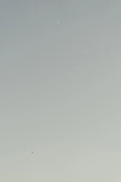 A serene app interface displaying a countdown timer with soft pastel colors and nature-inspired icons.