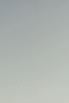 A serene app interface displaying a countdown timer with soft pastel colors and nature-inspired icons.
