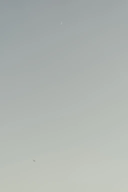 Elegant gold-accented crescent moon icon on a deep emerald background.