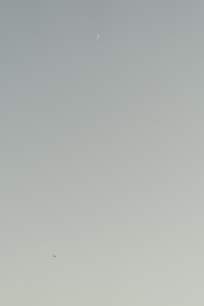 Multiplayer leaderboard showing top players with their planes flying across a gradient sunset sky background.