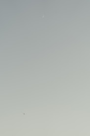 A serene sky with a crescent moon elegantly positioned near the top and a small airplane flying below, set against a gradient background transitioning from light green to pale blue.