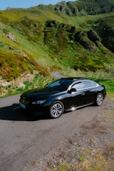 A sleek car parked on a scenic road.