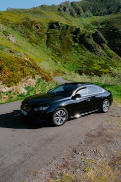 A sleek car parked on a scenic road.