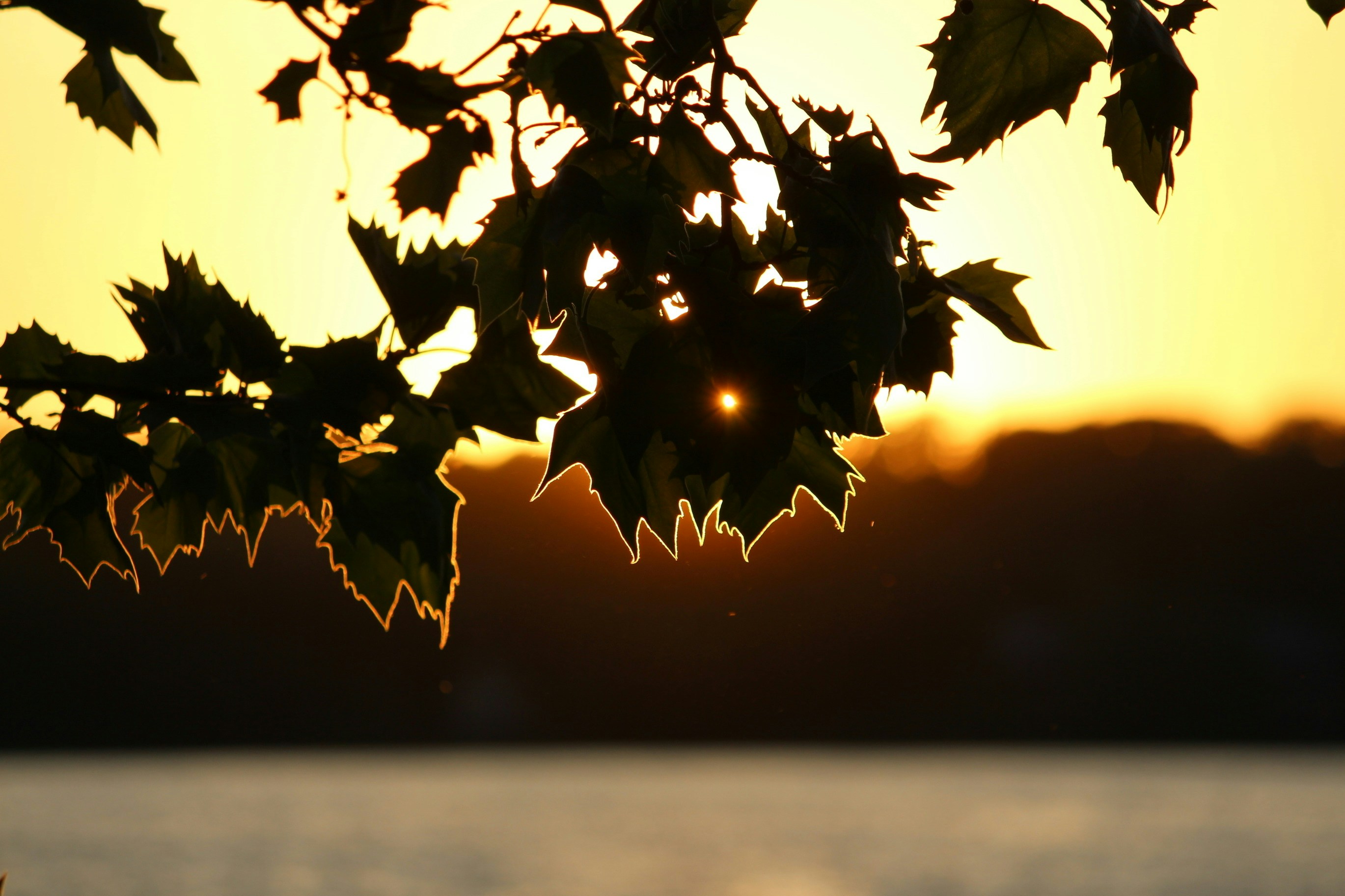 Reflecting on Q2 and H1, Looking forward to Q3 and on