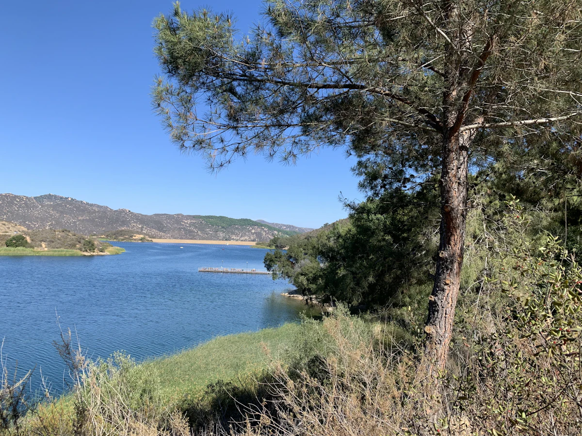 A blue reservoir among dry hills near Escondido, seen past a pine on the shore